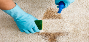 Carpet Deep Cleaning in Houston