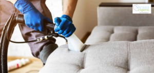Furniture Cleaning Services Houston,