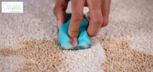 Remove Spills from Carpet