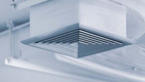 Types of mold in air ducts