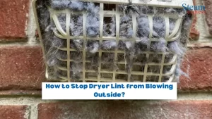 How to Stop Dryer Lint from Blowing Outside