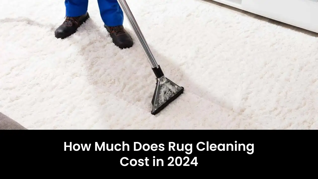How Much Does Rug Cleaning Cost in 2024?