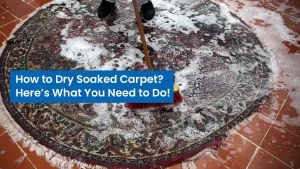 How to Dry Soaked Carpet? Here’s What You Need to Do!