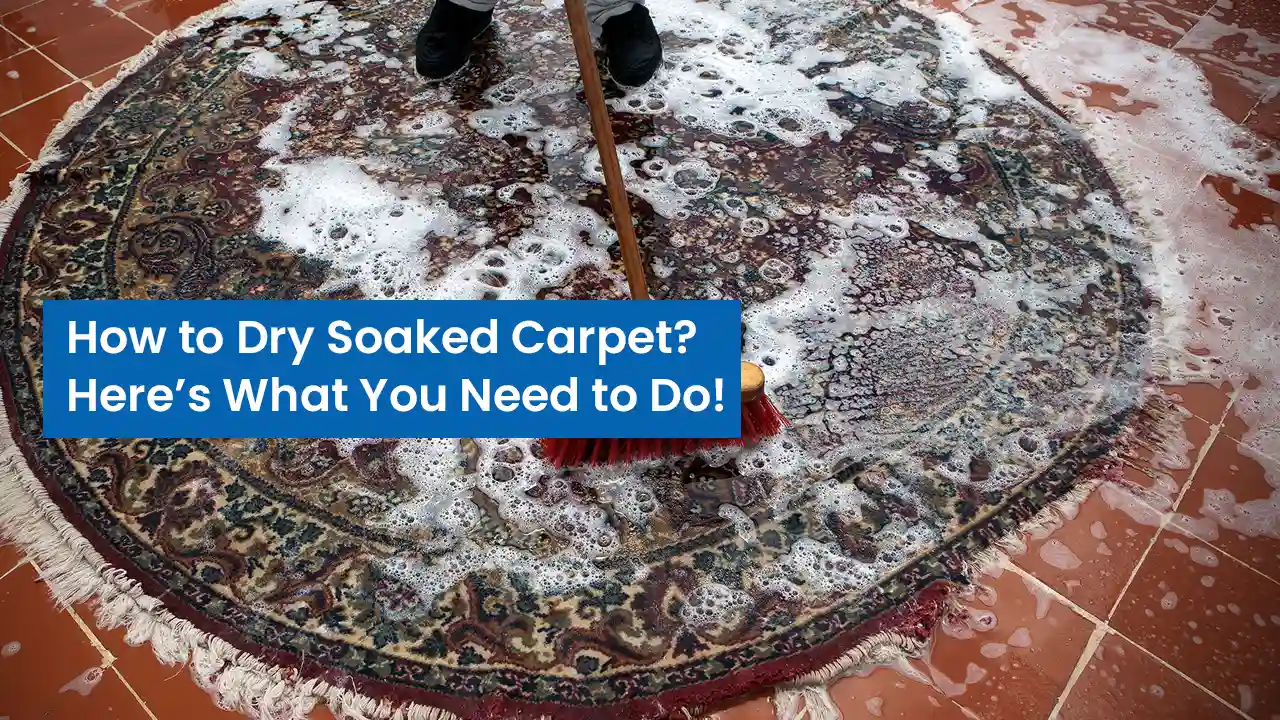 How to Dry Soaked Carpet? Here’s What You Need to Do!