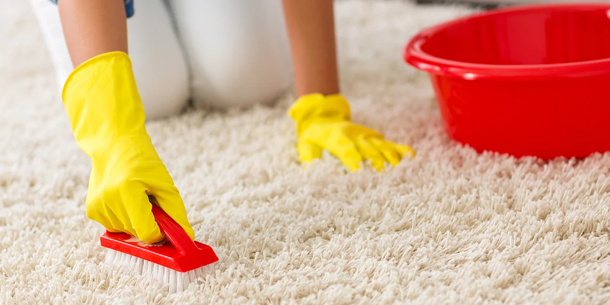 How to Dry Soaked Carpet?