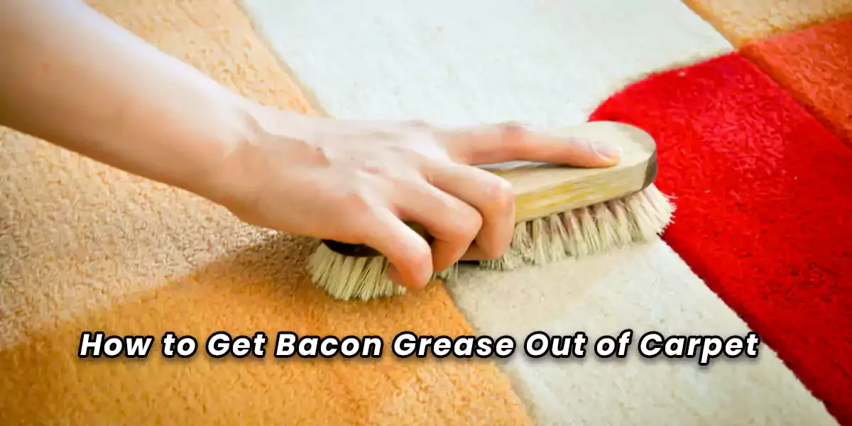 How to Get Bacon Grease Out of Carpet?