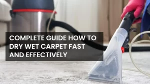 How to Dry Wet Carpet Fast and Effectively