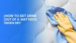 How to Get Urine Out of a Mattress When Dry