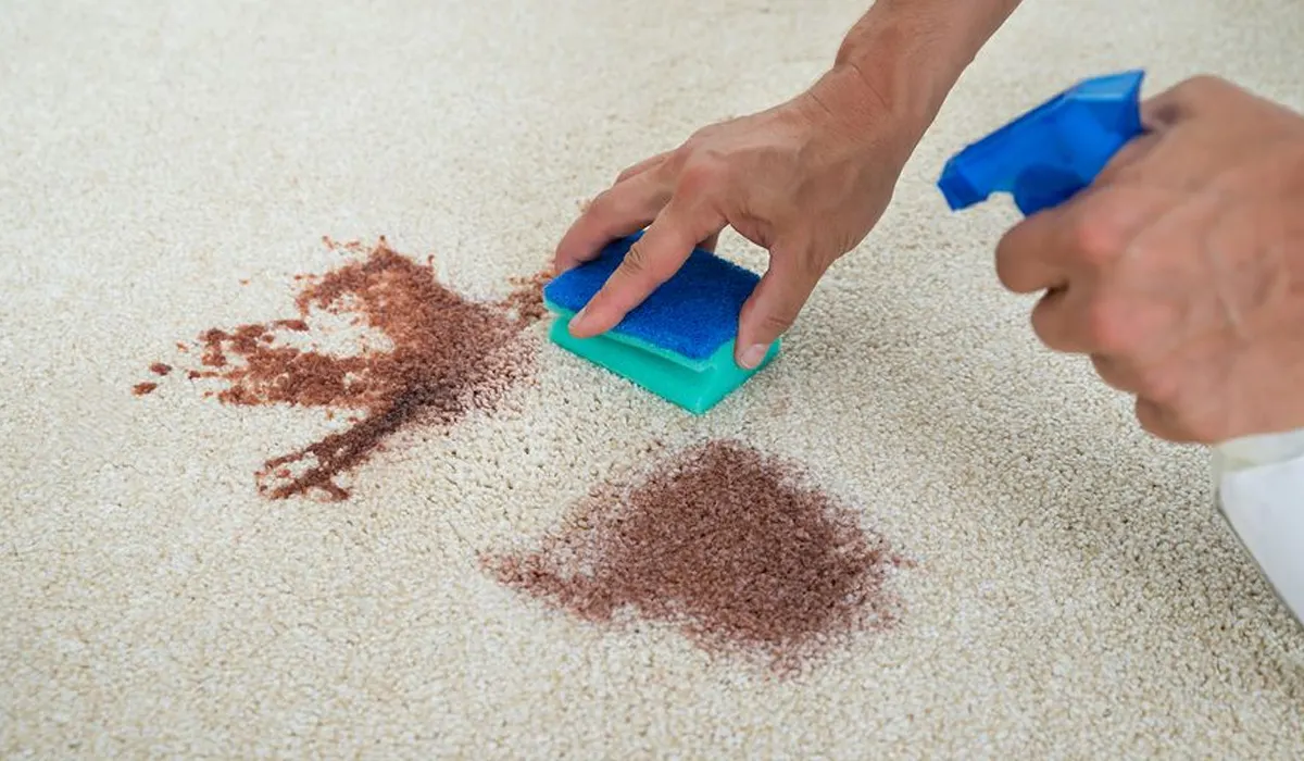 Initial Steps After Carpet Gets Wet