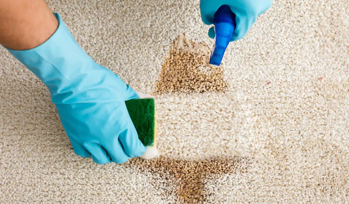 Tips on How to Get Water Out of the Carpet at Home