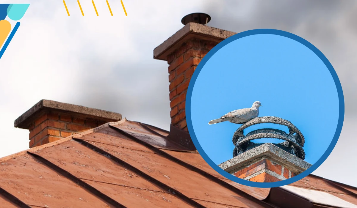 What Are Chimney Swifts, And Why Are They Such a Problem?