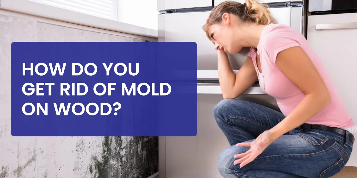 How-Do-You-Get-Rid-Of-Mold-On-Wood