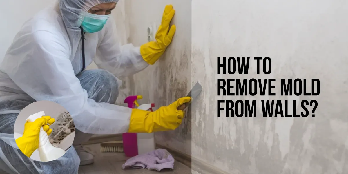 How-to-remove-mold-from-walls