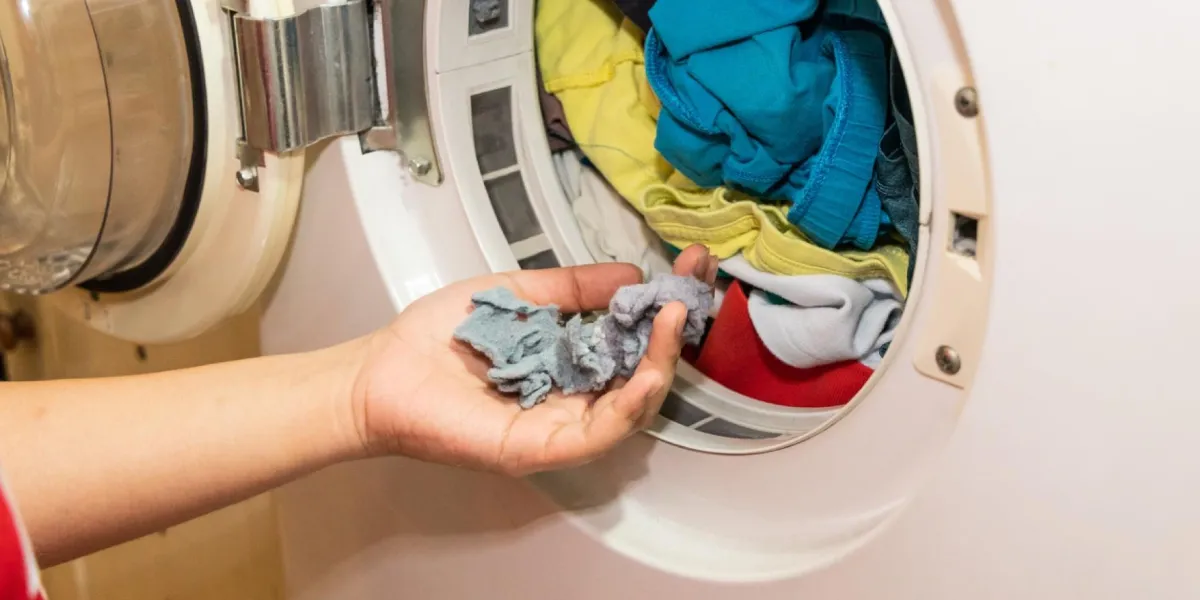 Can I use a regular brush to clean my dryer lint trap?