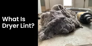 What is Dryer Lint? Everything You Need to Know