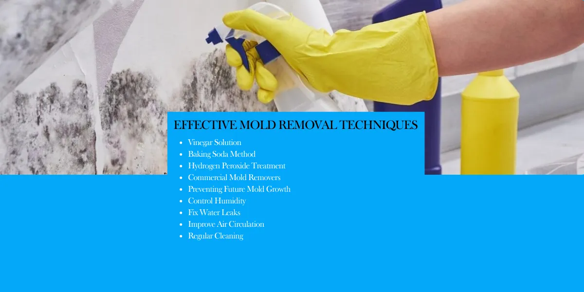 effective techniques for removing black mold