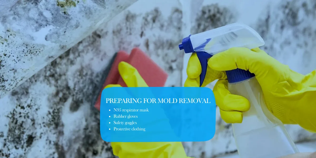 black mold removal preparation