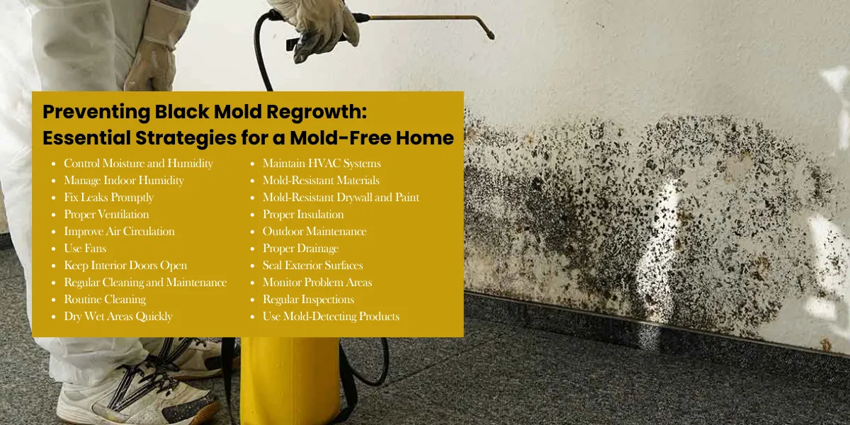 strategies for preventing black mold regrowth in the home