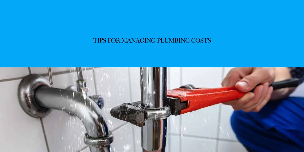 tips for managing plumbing costs