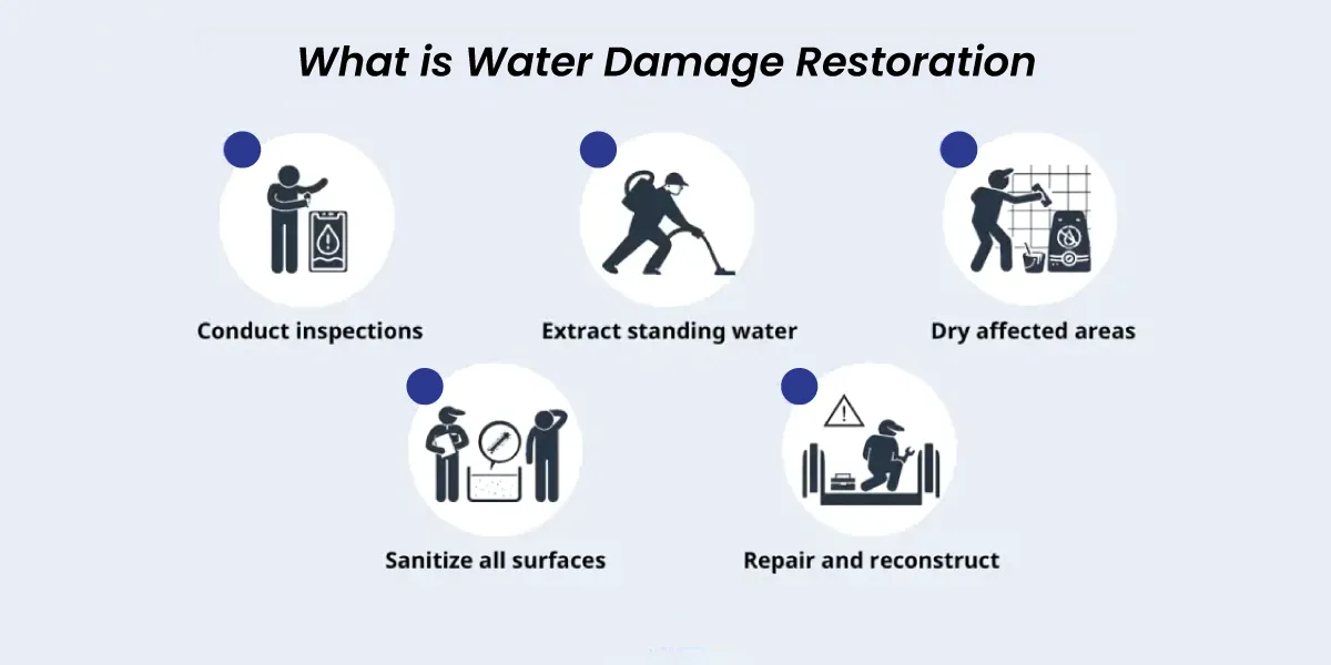 Importance of Water Damage Restoration