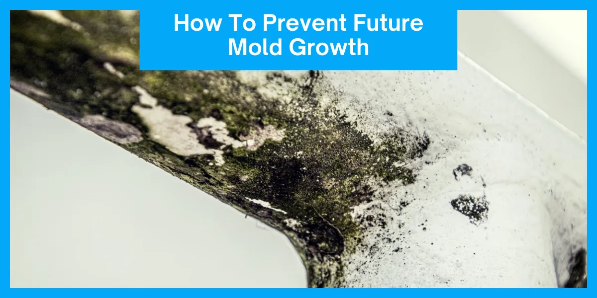 How To Prevent Future Mold Growth