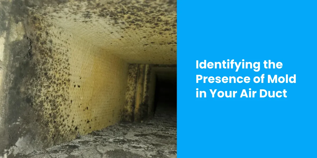 Identifying the Presence of Mold in Your Air Duct