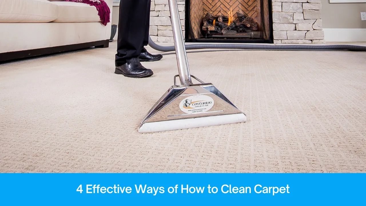 How to Clean Carpet