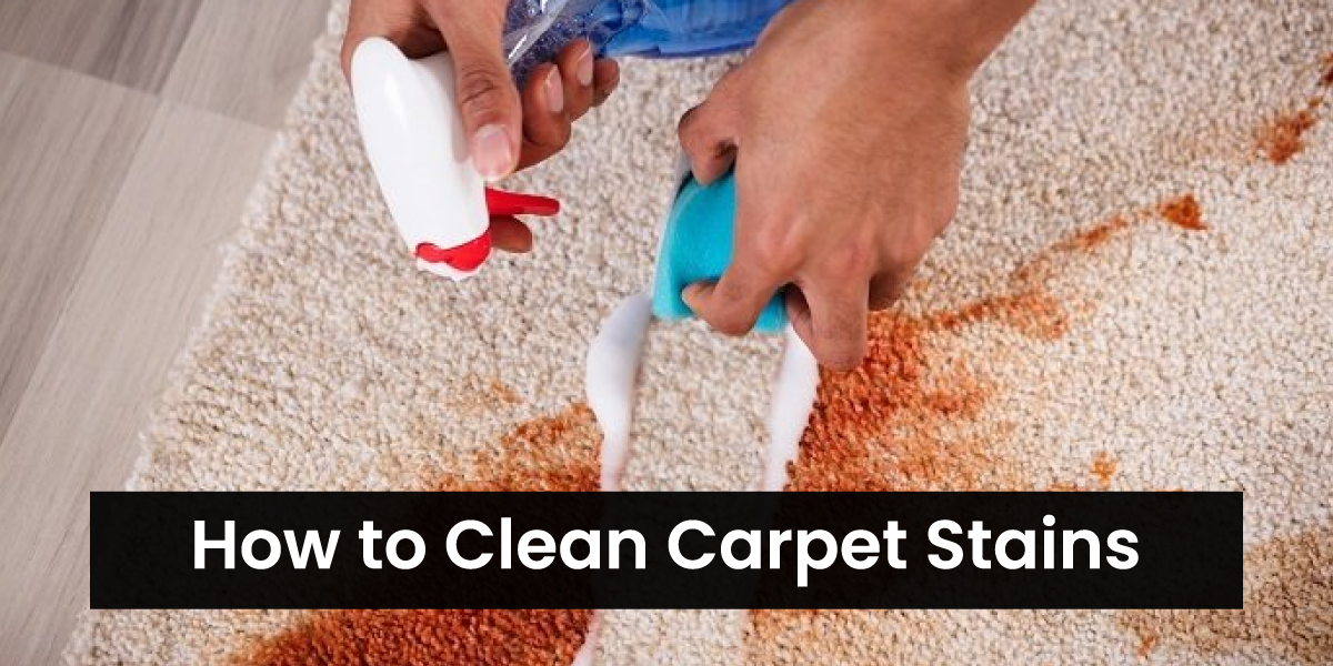 How-to-Clean-Carpet-Stains