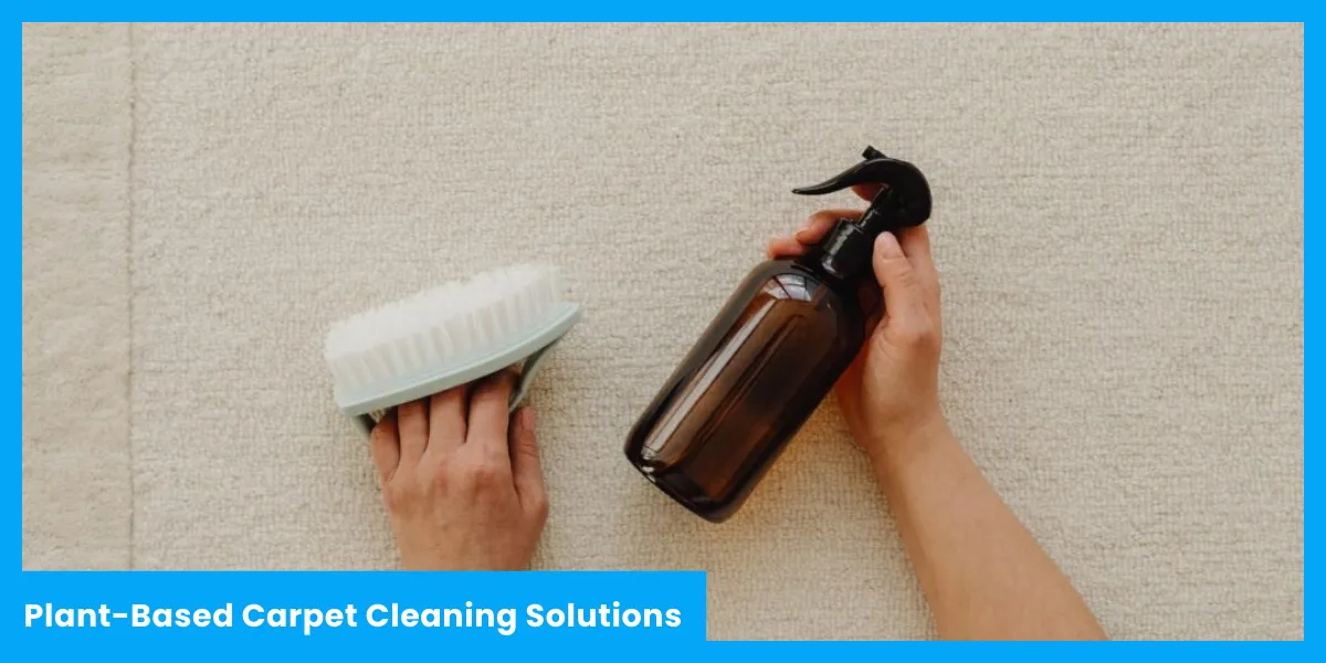 Plant-Based Carpet Cleaning Solutions