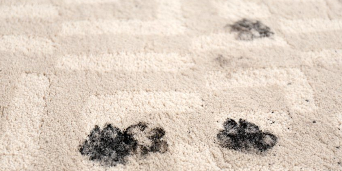 Signs Your Carpet Needs Deep Cleaning